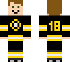 boston bruins