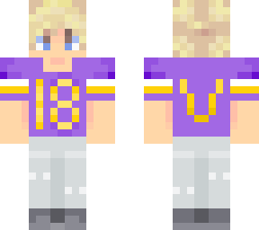 vikings nfl guy