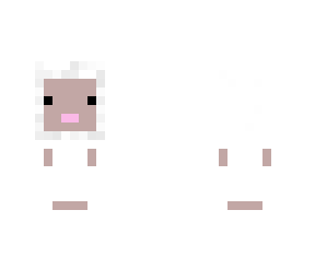 baby sheep