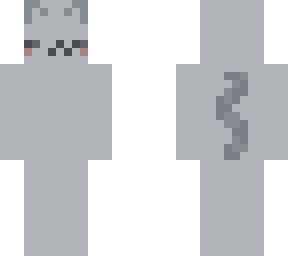 grey cat