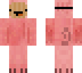 pig