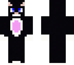 black and white cat