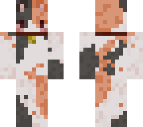 calico katt