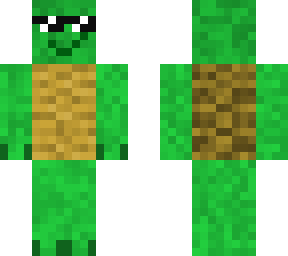 kul turtle guy