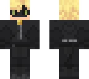 chat noir