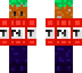 minecraft guy
