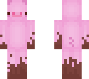 cute muddy pig