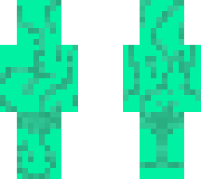 followers contest