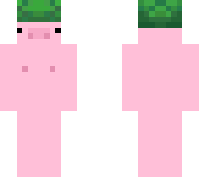 turltle pig