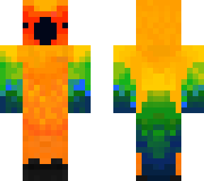 sun conure