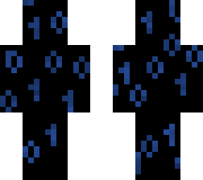 01010101