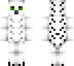 dray snowy owl