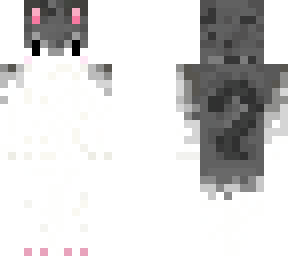 gray cat