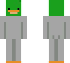 wild duck
