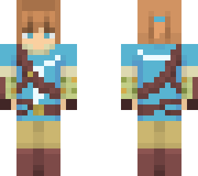 .champion of hyrule.