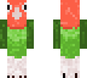 cookie the lovebird