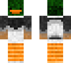 green head duck