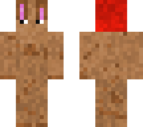 brown bunny