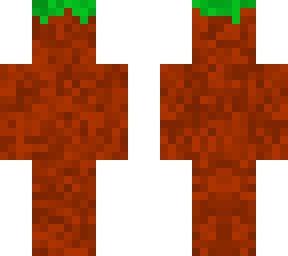 dirt