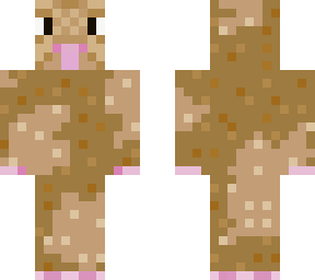guinea pig - fluffy caramel 2
