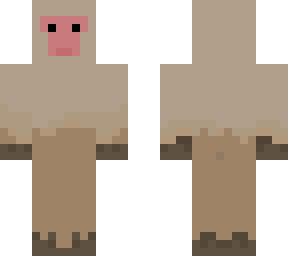 japanese macaque