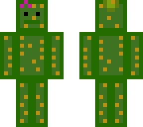cactus melon sanbox