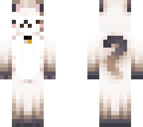 white cat