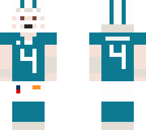 colton springer (miami dolphins