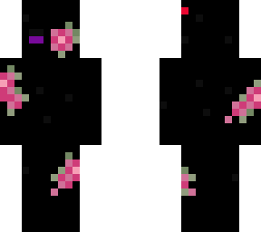 pink roses