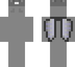 elytra