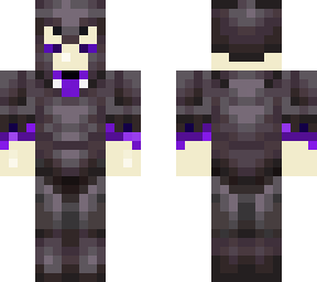 enderarmourskin