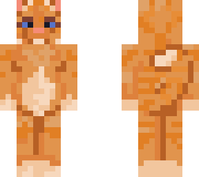 ginger cat
