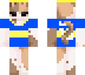 gato de boca juniors