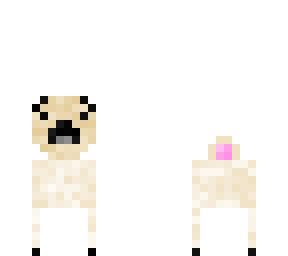 cachorro safado