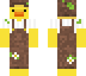 nature duck