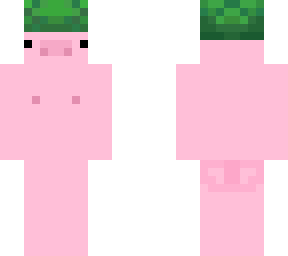 turtle pig with a gyat