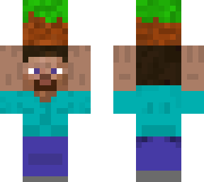 steve holding grass block