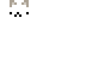 white cat