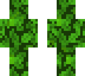 bush