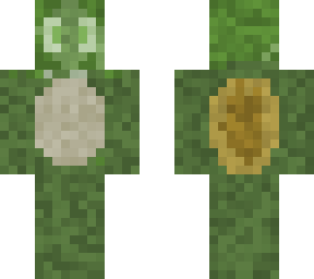 turtle man