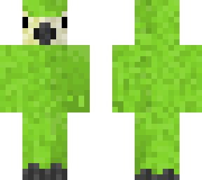 bird