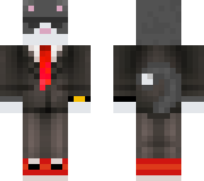 gray and white cat