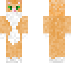 orange cat skin
