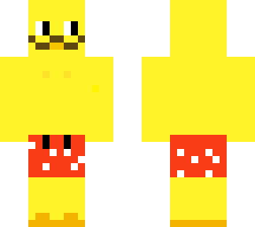 summer duck