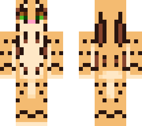 duke the ocelot