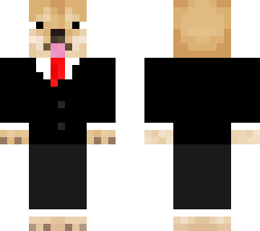 fancy dog