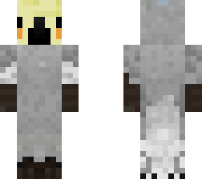bird guy