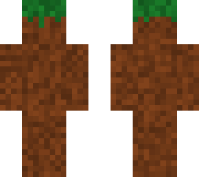 dirt skin