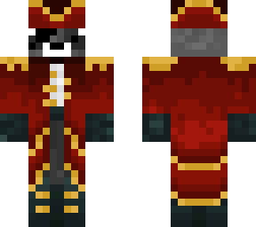 racoon pirate