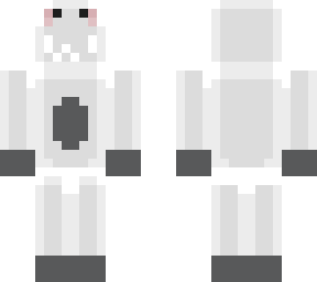 white kitten
